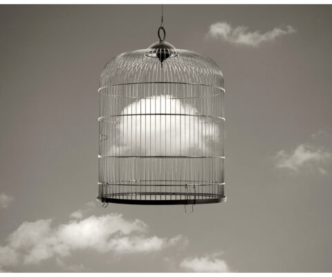 Exposition Chema Madoz