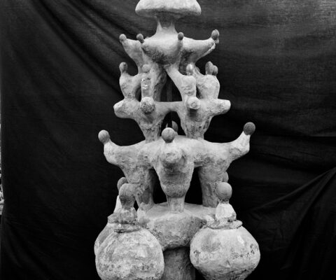 Aurelien Froment, Palais idéal